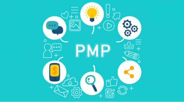 PMP®介绍